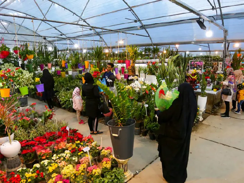 نمایی از نمایشگاه گل و گیاه